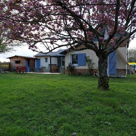 Le gîte du loir à vélo, gîte d'étape, backpacker Marçon Extérieur photo